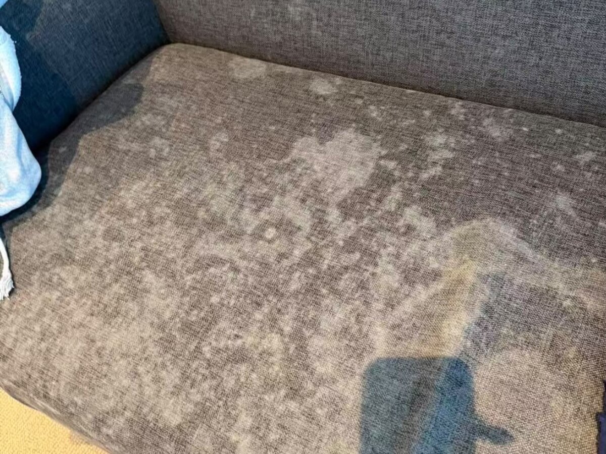 Couch before cleaning